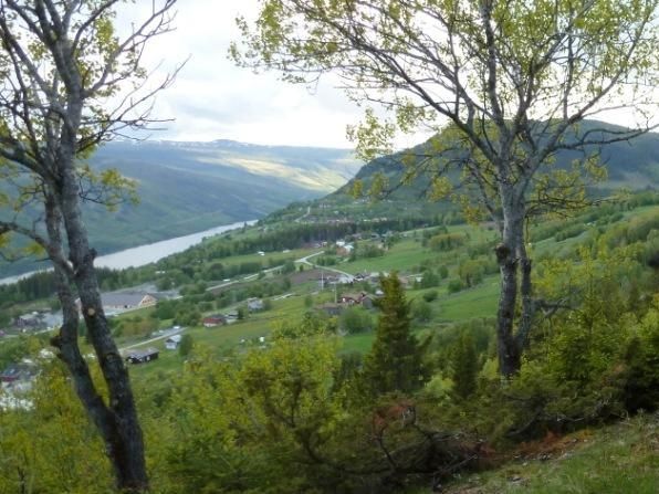 View from the hike to Hellingstølen. Photo T. Torgersen